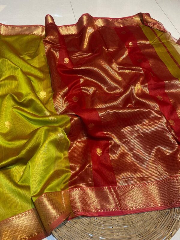 Parrot Green and Red